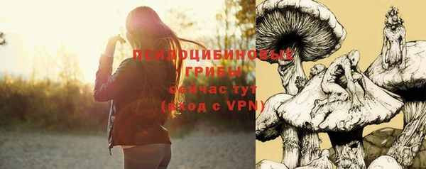 амф Дмитриев
