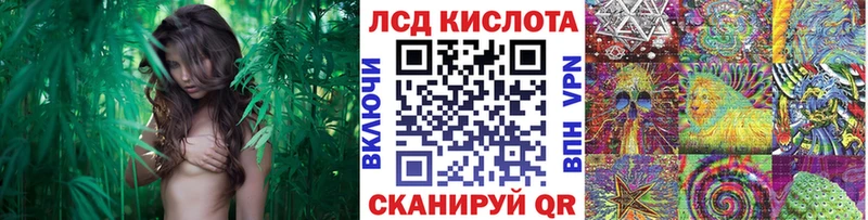 закладки  Гусь-Хрустальный  Наркотические марки 1500мкг 