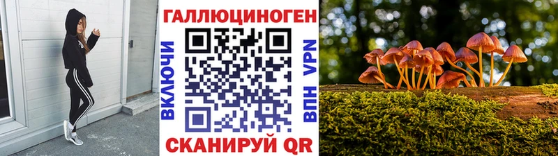 гидра онион где можно купить Гусь-Хрустальный Галлюциногенные грибы ЛСД