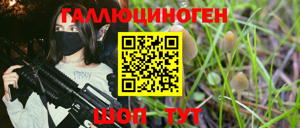 Гусь-Хрустальный  Галлюциногенные грибы MAGIC MUSHROOMS  Псилоцибиновые грибы MAGIC MUSHROOMS  Вход с VPN 