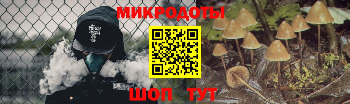 Галлюциногенные грибы Cubensis Гусь-Хрустальный