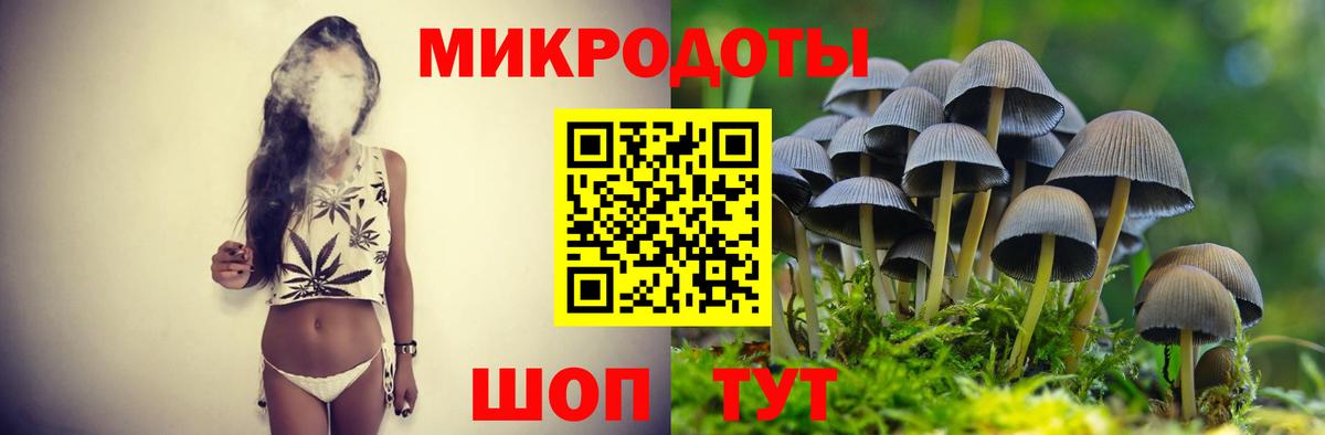 Галлюциногенные грибы Cubensis Гусь-Хрустальный